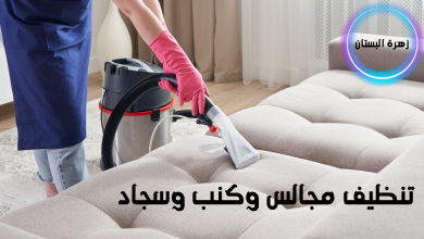 تنظيف مجالس بالمدينة المنورة